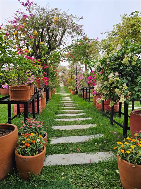floriad lifestyle photos|Floriad: A blooming destination in the South .